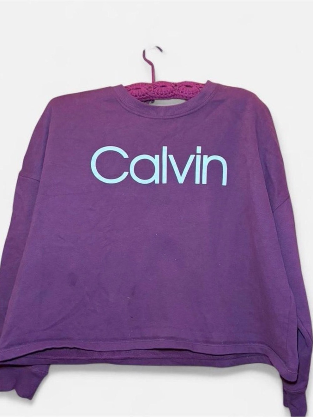 Calvin Klein Plum Logo Sweatshirt
